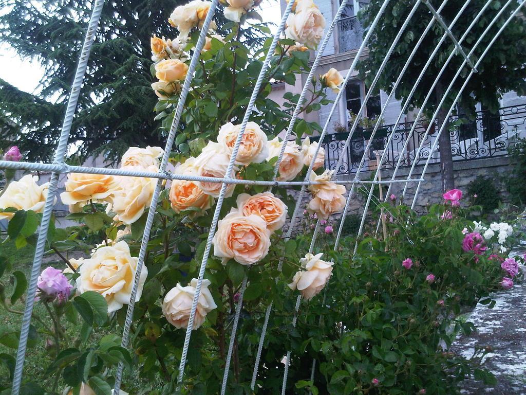 B&B En Provence- Villa Saint Marc Forcalquier Eksteriør billede